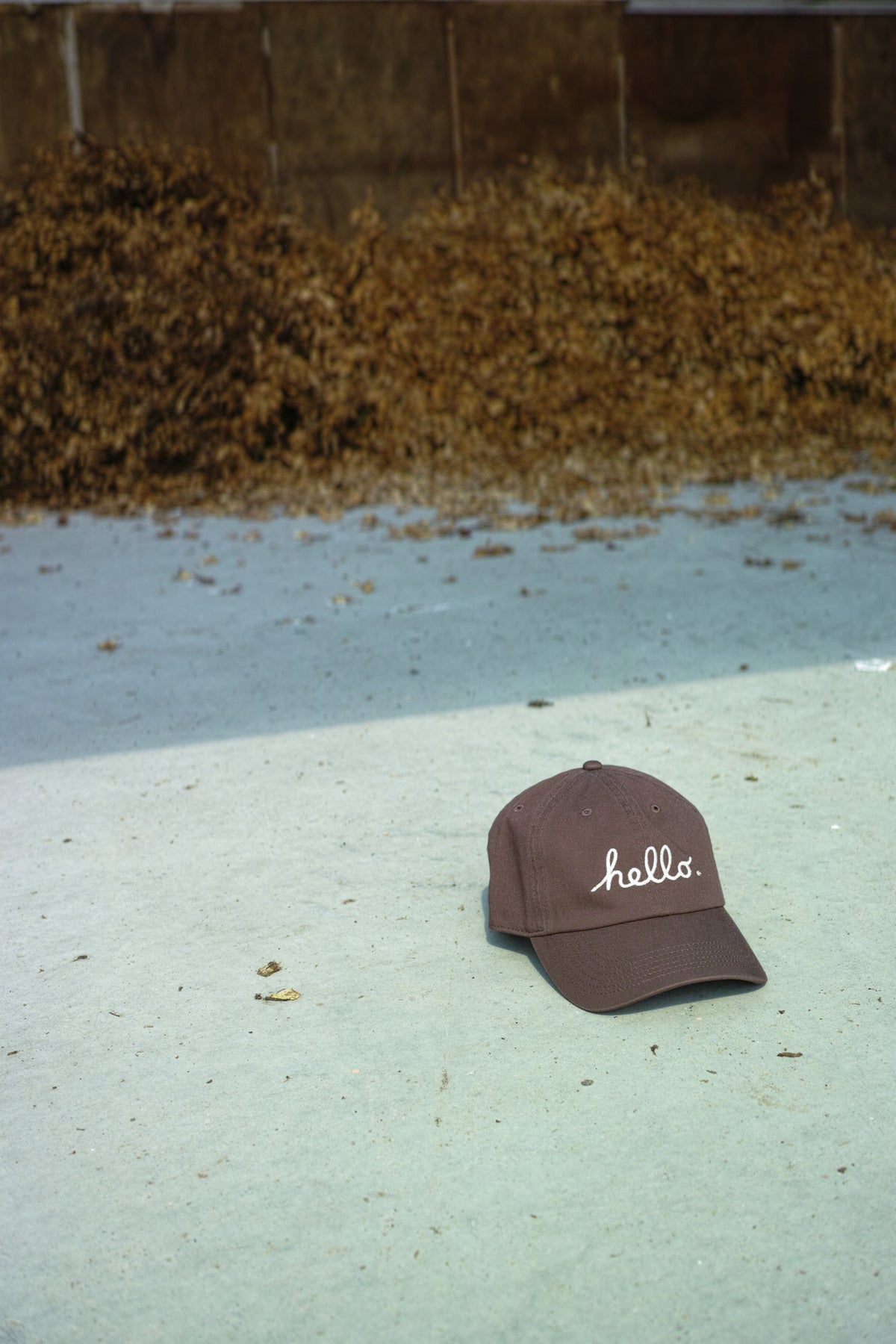 Daily Cap