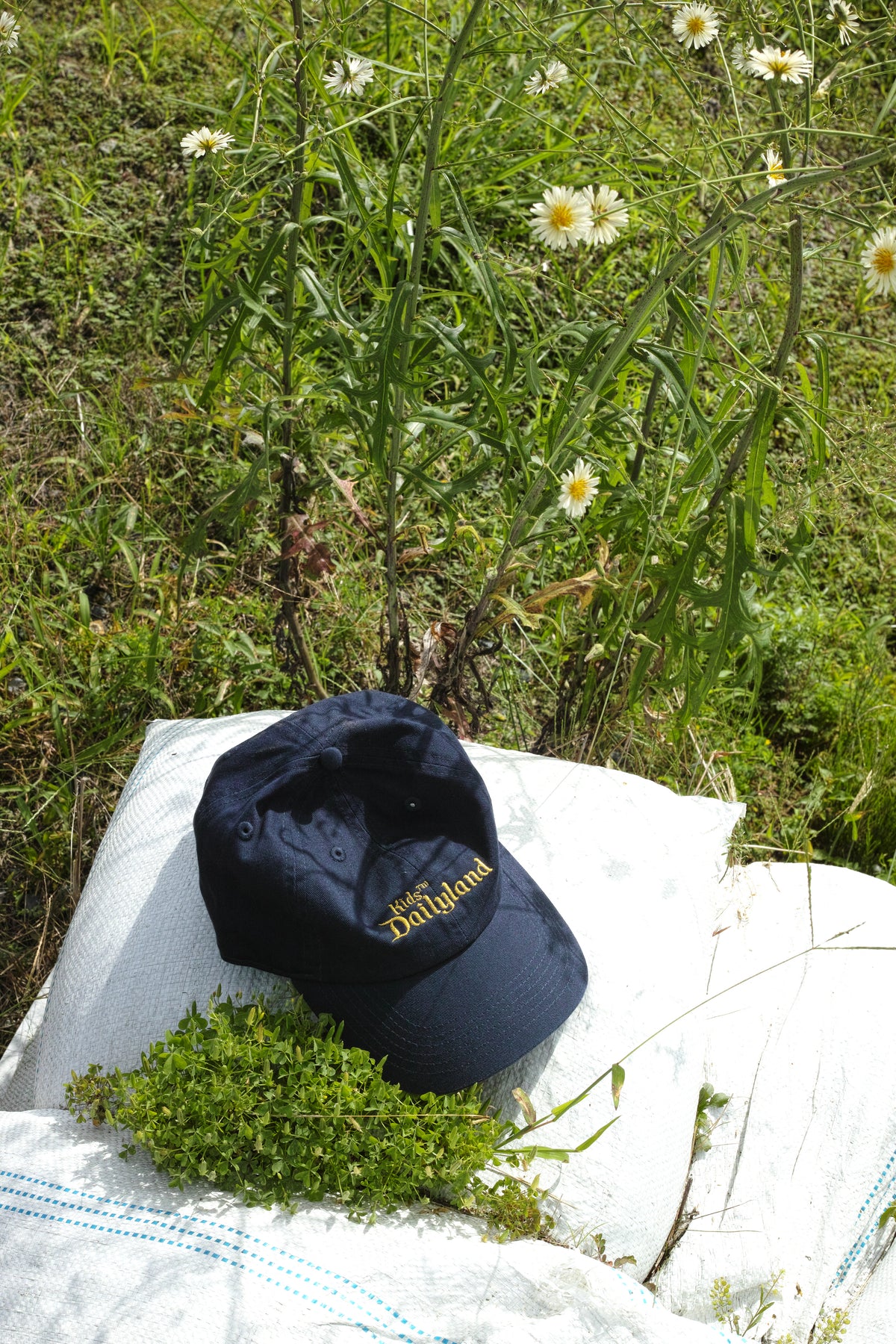 Souvenir Cap