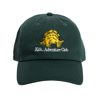 Stego Cap